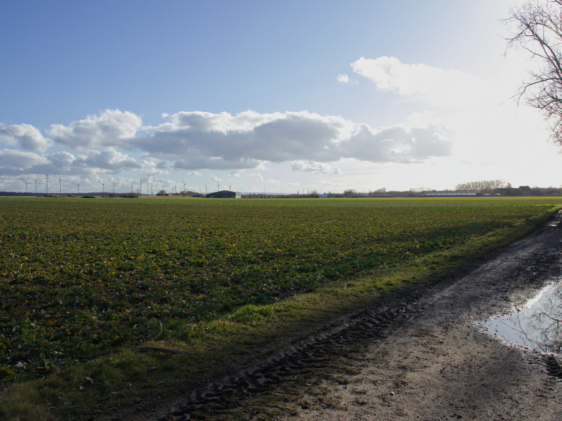 12tel Blick, Februar 2026