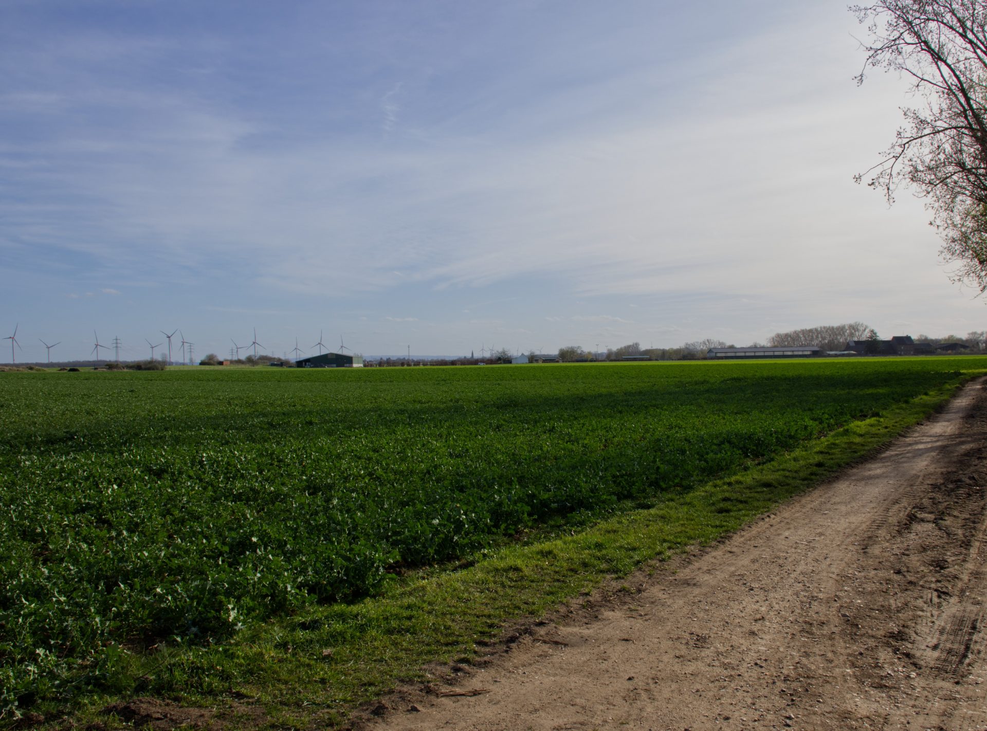12tel Blick, März 2026