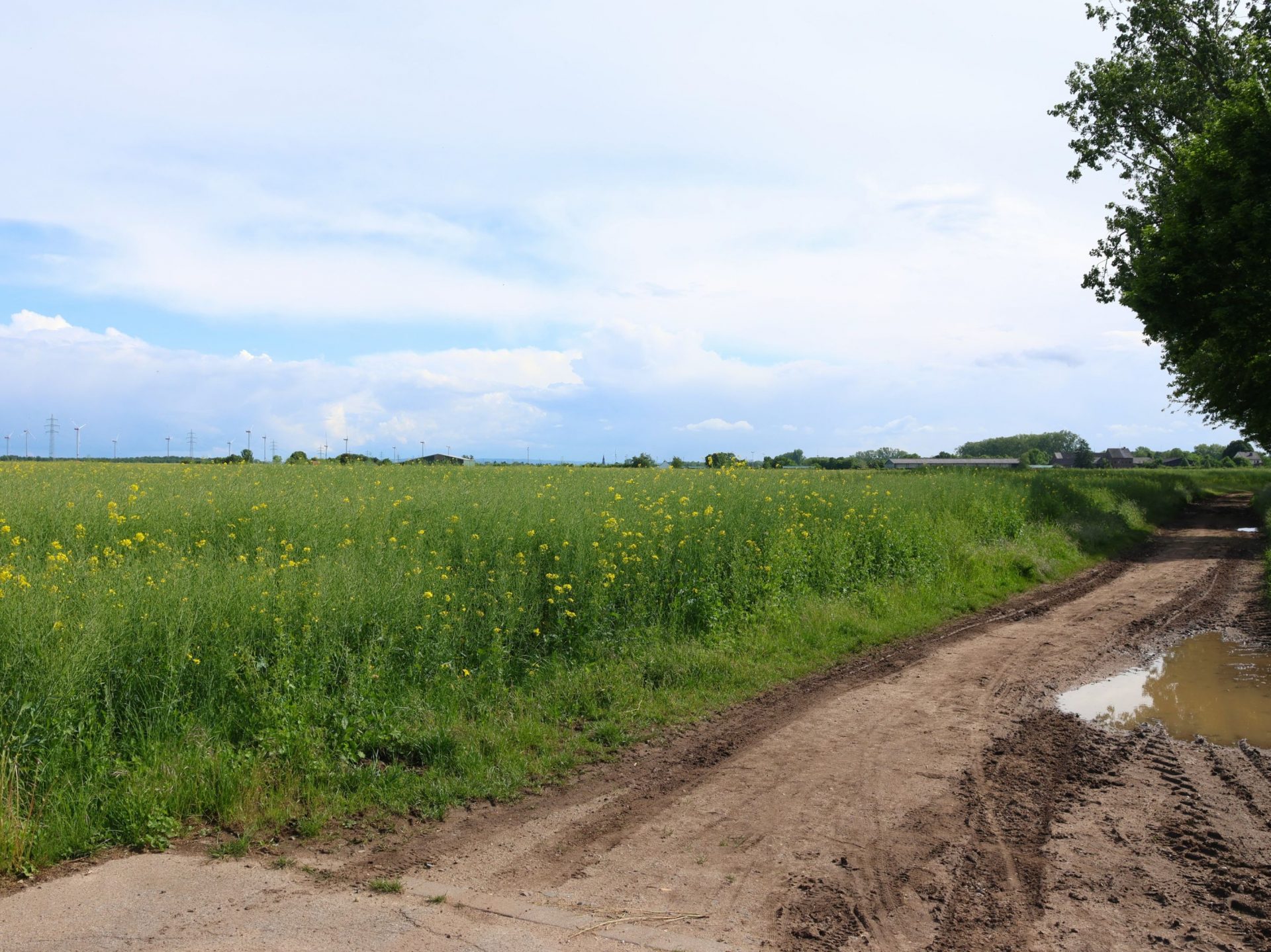 12tel Blick, Mai 2026