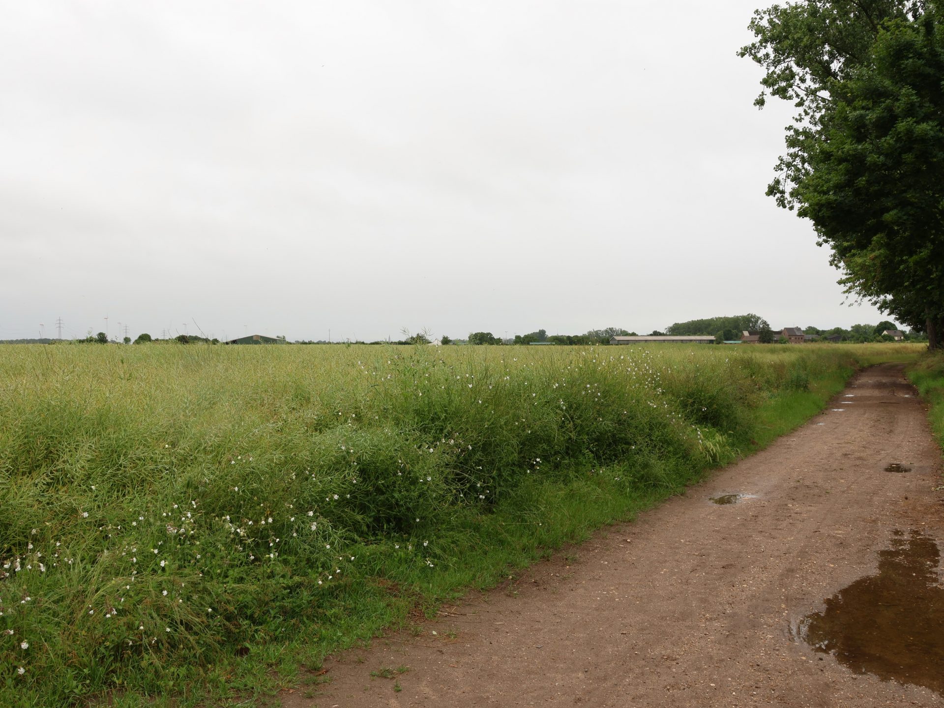 12tel Blick, Juni 2026